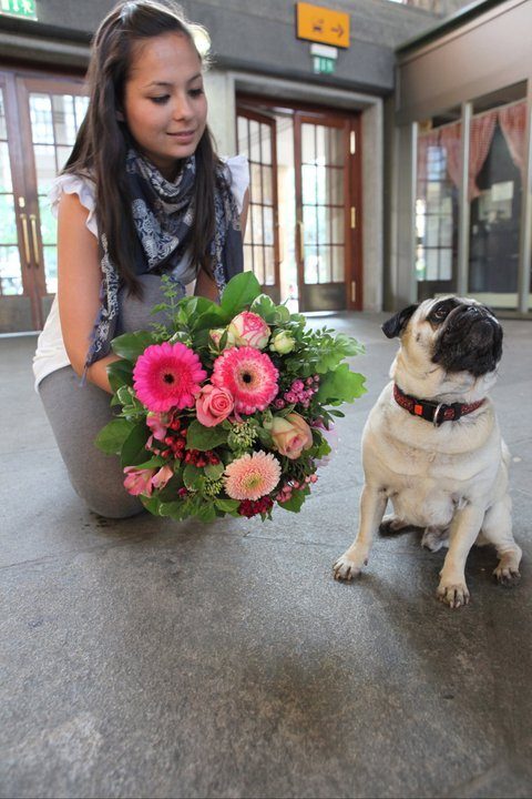 Blumen Erik Mops mit Frau.jpg