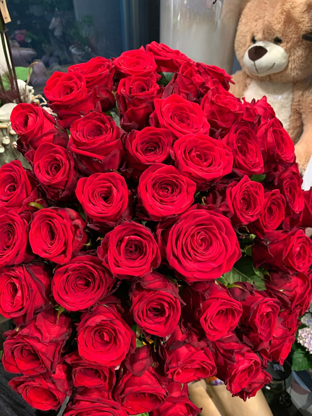 50 Red roses.jpg