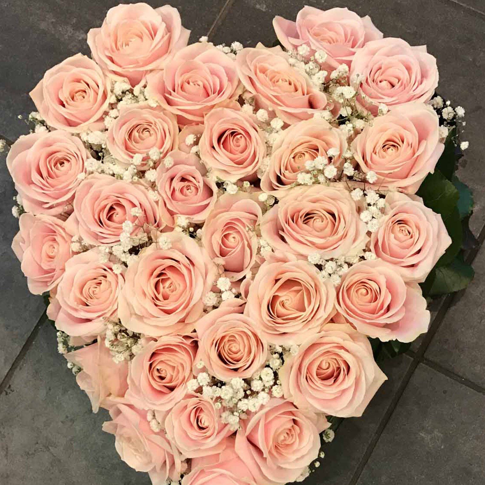 BLumen Eric Rosen Rosa.jpg