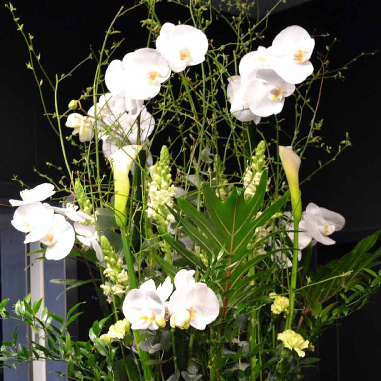 Arr.-Bar.BR_ Blumen Eric.jpg
