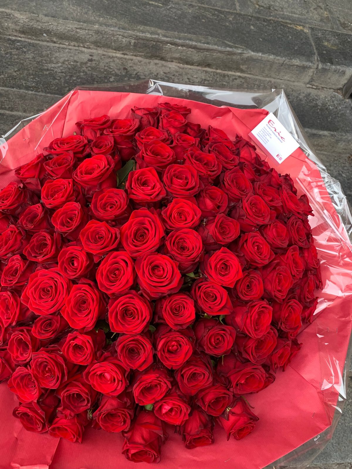 100 Red roses.jpg