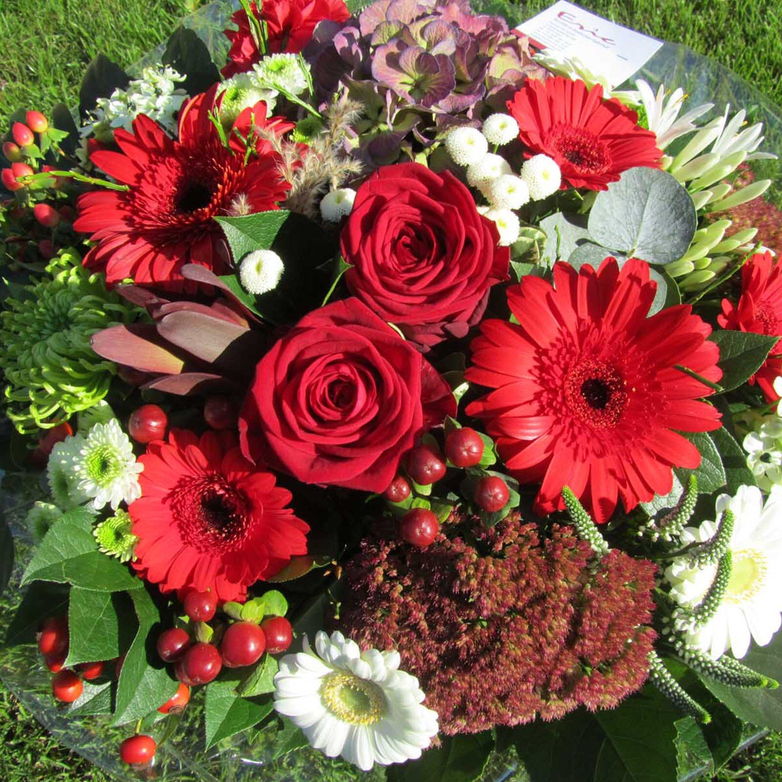 Strrauss_2_rot BLumen Eirc.jpg
